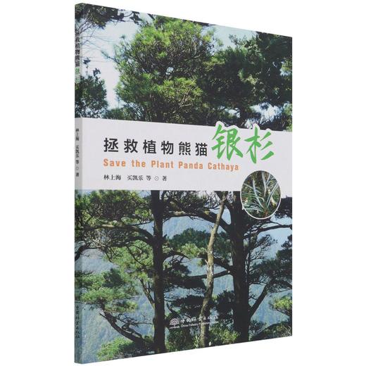 拯救植物熊猫(银杉) 林上海//买凯乐 1347 中国林业出版社 商品图4