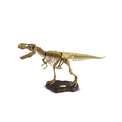恐龙模型 探索拼装 霸王龙 商品图0