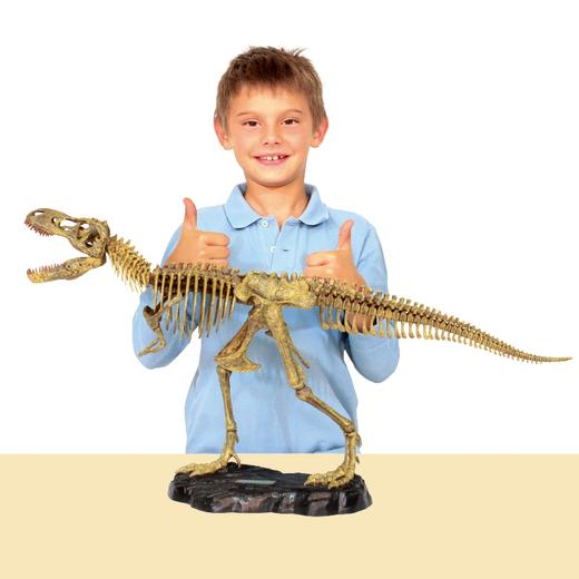 恐龙模型 探索拼装 霸王龙 商品图1