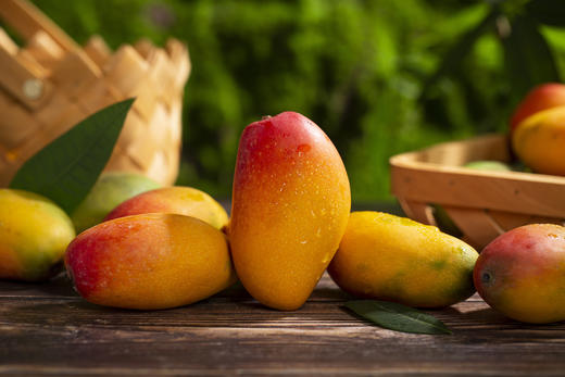 攀枝花小贵妃芒果(5斤/8斤） 商品图2