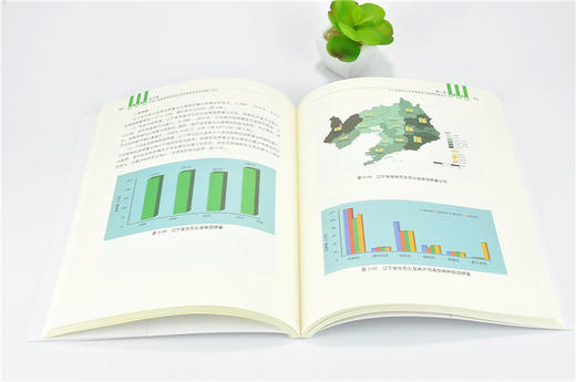 辽宁省生态公益林资源及其生态系统服务动态监测与评估 9757 中国森林生态系统连续观测与清查及绿色核算系列丛书 中国林业出版社 商品图3
