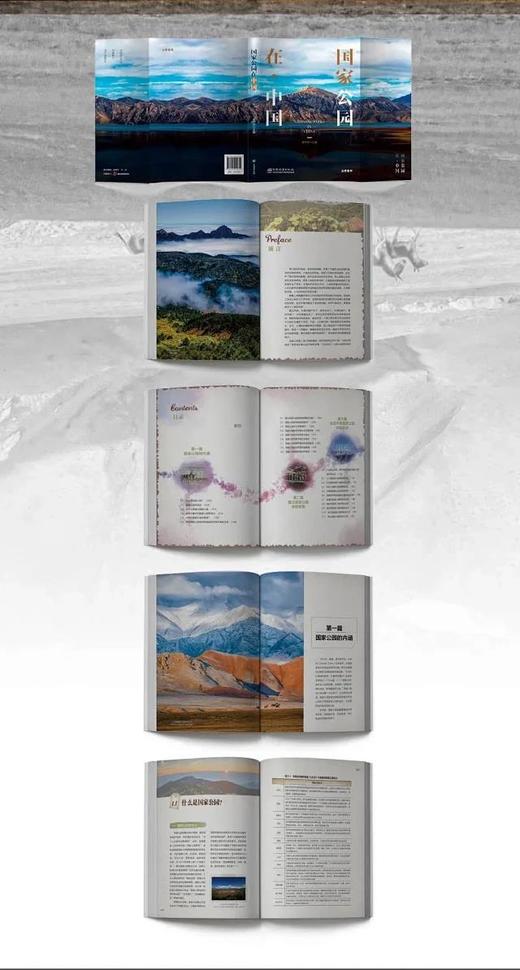 国家公园在·中国  唐芳林 1061 中国林业出版社 商品图4