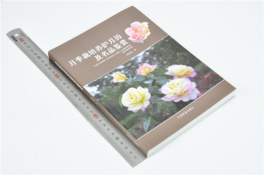 月季栽培养护月历及名品鉴赏 7445 保护地月季的栽培管理 露地月季栽培 栽培养护 辩叶识花 病虫害防治 中国林业出版社畅销书 商品图1
