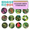 植物病虫害防治全图鉴 商品缩略图3