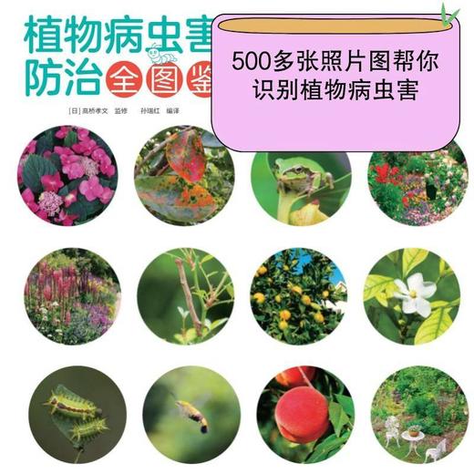 植物病虫害防治全图鉴 商品图3