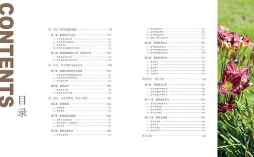中华母亲花：萱草 分类 育种 繁殖 栽培 管理 病虫害防治 萱草景观应用和插花艺术 张志国 金红 1387 中国林业出版社 商品图4