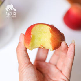 生态沙红桃 | 合作生产* Ecological peach | Coproduction