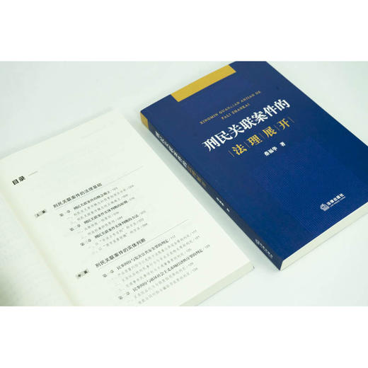 刑民关联案件的法理展开  蔡福华著 商品图4