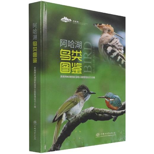 阿哈湖鸟类图鉴 贵阳阿哈湖国家湿地公园管理处 编 生物科学 专业科技   1187 中国林业出版社 商品图1