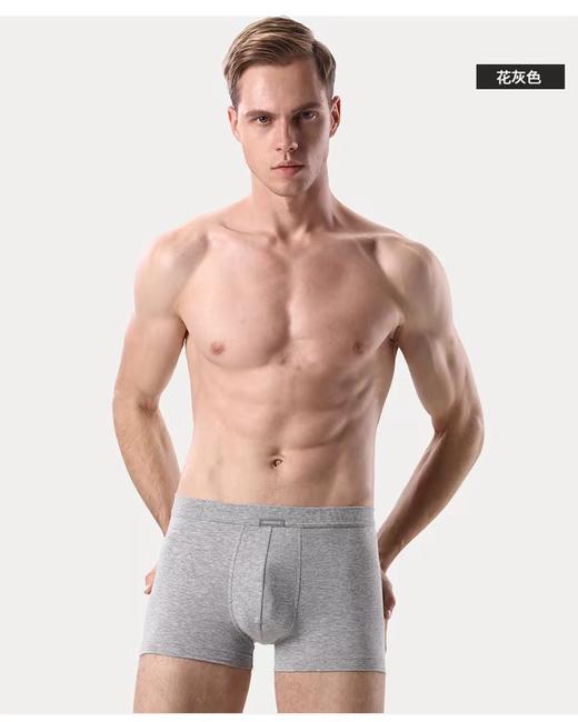 6F SCHIESSER舒雅内裤 商品图1