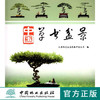 中国草书盆景5276历史常用树种养护管理华派洋派锡派彭派草书盆景 中国林业出版社官方旗舰店正版畅销书 商品缩略图0