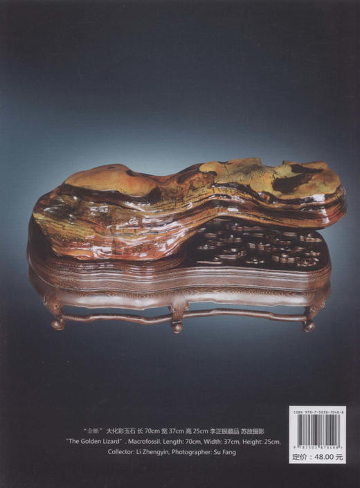 中国盆景赏石 2013-6  中国林业出版社7040 商品图2