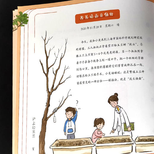 沪上白玉兰：小明观察日记 张冬梅 1421  中国林业出版社 商品图4