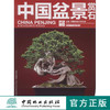 中国盆景赏石 2012-7   中国林业出版社6693 商品缩略图0
