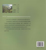 城郊绿化与造景艺术 4812 园林绿化 造景艺术 生态农业景观 中国林业出版社 商品缩略图2