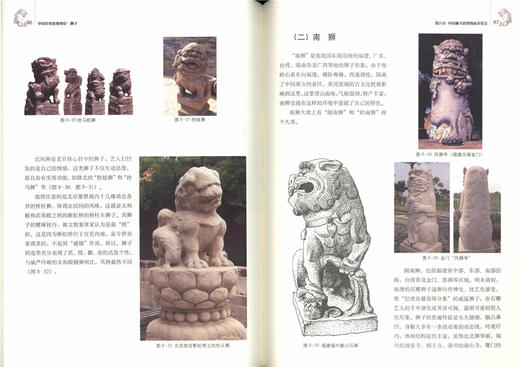狮子中国传统形象图说8865石狮子雕塑装潢建筑印染陶瓷舞台美术工艺美术文物考古中国林业出版社官方旗舰店正版畅销书 商品图1