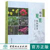 三明市观赏植物图鉴 8902 中国林业出版社 商品缩略图0