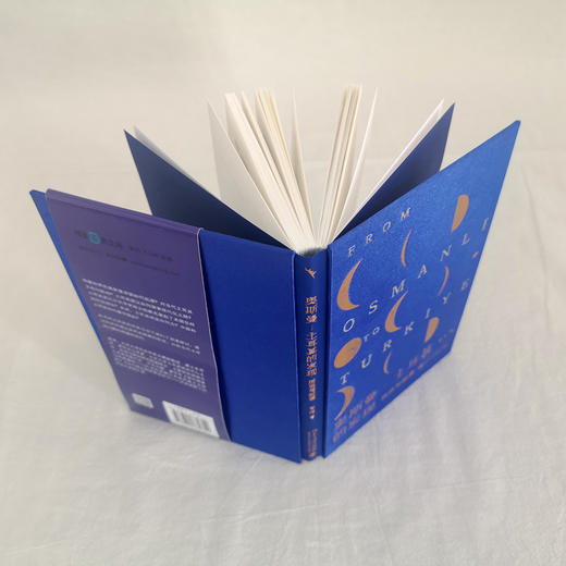 奥斯曼-土耳其的发现——历史与叙事 昝涛 北京大学出版社 商品图4