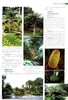 中国景观植物应用大全 木本卷 7638 中国景观植物设计师手册 中国林业出版社官方旗舰店正版畅销书 商品缩略图2
