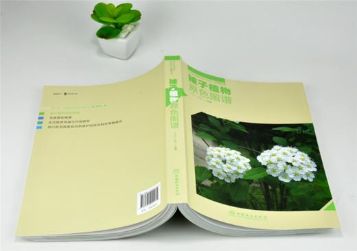 被子植物原色图谱 马永红 杨彪 主编 0153 四川卧龙国家*自然保护区系列丛书 中国林业出版社 商品图4
