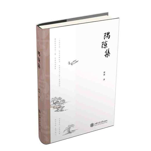 隅隙集 张林 著 商品图0