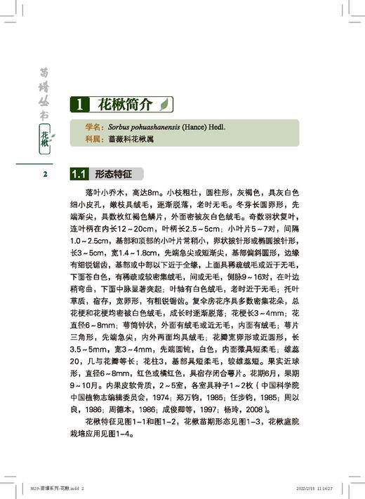 花楸 苗谱丛书 找得到专家 看得见苗圃 学得会育苗 刘勇 杨玲、梁立东 1503 中国林业出版社 商品图4