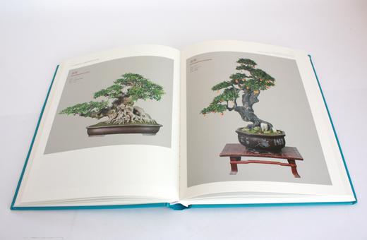 2019中国森林旅游节全国精品盆景展系列活动专辑 0440 盆景艺术 中国花卉协会盆景分会 如皋市人民政府主编 中国林业出版社 商品图3