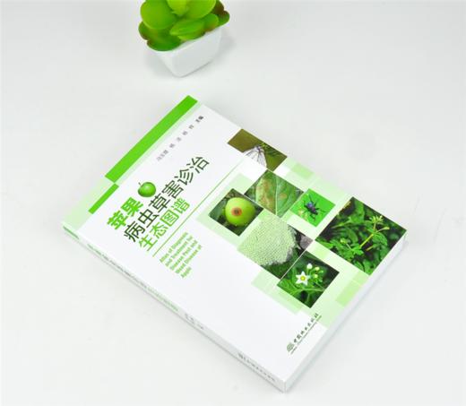 苹果病虫草害诊治生态图谱 0222 冯玉增 杨洁 杨辉 苹果病害虫害诊断与防治 果园主要杂草识别与防治 果园工具书 中国林业出版社 商品图1
