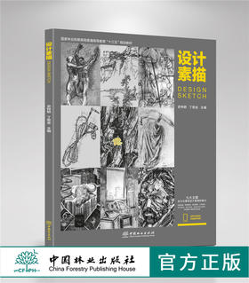 设计素描 史钟颖 丁密金 0081 国家林业和草原局普通高等教育十三五规划教材 中国林业出版社