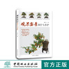 观果盆景制作与养护8534常用树种的形态特征 花多果措施以及养护与管理等内容 马文其  中国林业出版社 正版畅销书籍 商品缩略图0