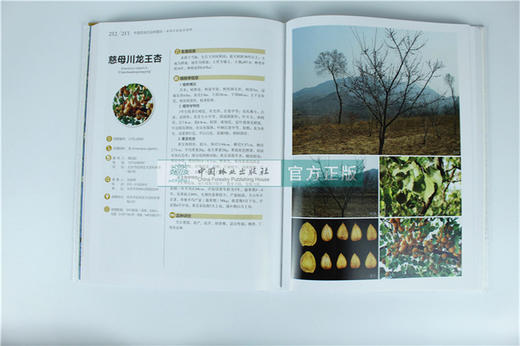 中国果树地方品种图志 中国杏地方品种图志 9397 中国林业出版社 畅销书籍 商品图1