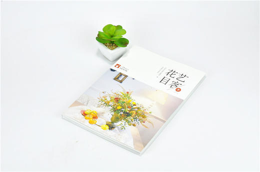 花艺目客 冬 9905 空气感花束 干燥桌花 漂浮花艺 花艺气球组合装饰 手捧花 压花 制作要点 插花花艺设计书 中国林业出版社 畅销 商品图2