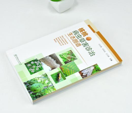 核桃病虫草害诊治生态图谱 0224 冯玉增 任军战 王文星 核桃病害虫害诊断与防治 果园主要杂草识别与防治 工具书 中国林业出版社 商品图2
