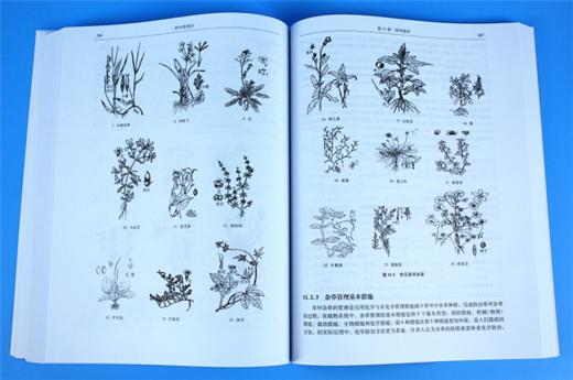 草坪管理学 孙彦 9367 国家林业局普通高等教育十三五规划教材 高等院校草业科学专业规划教材 中国林业出版社 畅销书 商品图3