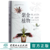 紫金植物 9957 蕨类植物 裸子植物 被子植物 科普读物 中国林业出版社 畅销书 商品缩略图0