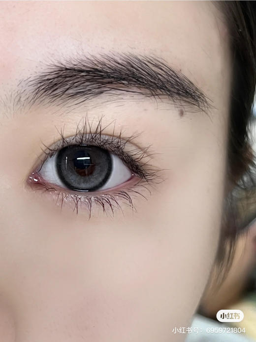 【半年抛|日抛】 Allecon 半糖牛乳  14.5  A17 黑灰 着色13.8 商品图6