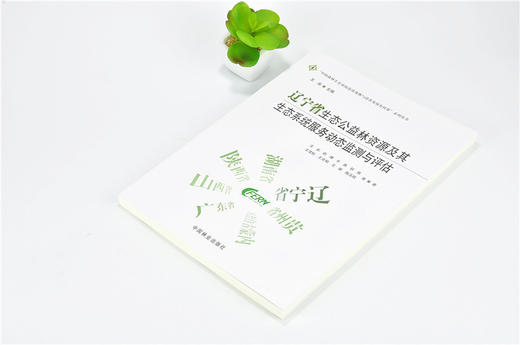 辽宁省生态公益林资源及其生态系统服务动态监测与评估 9757 中国森林生态系统连续观测与清查及绿色核算系列丛书 中国林业出版社 商品图2