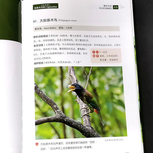 阿哈湖鸟类图鉴 贵阳阿哈湖国家湿地公园管理处 编 生物科学 专业科技   1187 中国林业出版社 商品图2