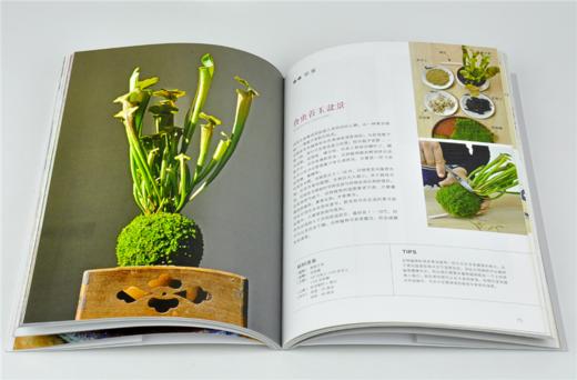 苔玉 苔藓盆中的自然精华 0146 花园时光 苔玉基础知识 养护使用布置 室内室外苔玉盆景 分步骤制作演示 中国林业出版社 商品图3