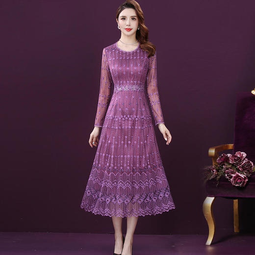 WXY-XY-210661W新款轻奢优雅气质收腰圆领长袖长款网纱刺绣连衣裙 商品图2