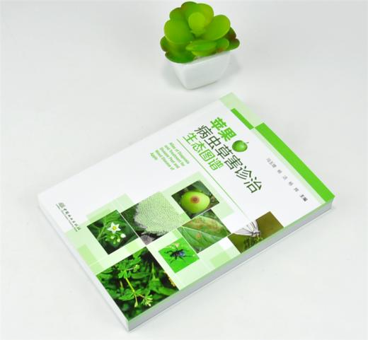 苹果病虫草害诊治生态图谱 0222 冯玉增 杨洁 杨辉 苹果病害虫害诊断与防治 果园主要杂草识别与防治 果园工具书 中国林业出版社 商品图2