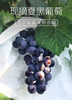 夏黑葡萄礼盒5斤装（仅限江浙沪） 商品缩略图0