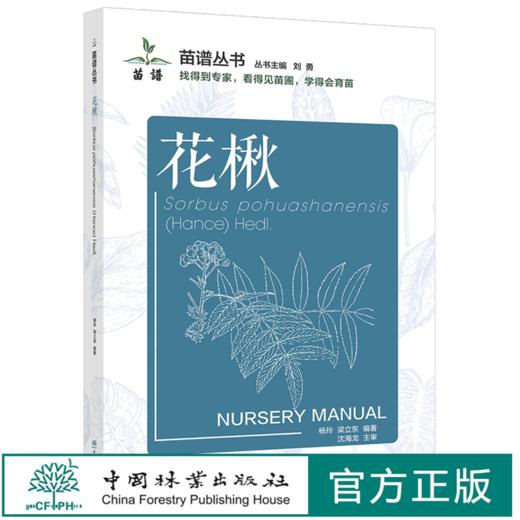 花楸 苗谱丛书 找得到专家 看得见苗圃 学得会育苗 刘勇 杨玲、梁立东 1503 中国林业出版社 商品图0