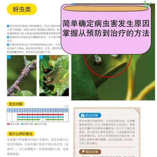 植物病虫害防治全图鉴 商品图4