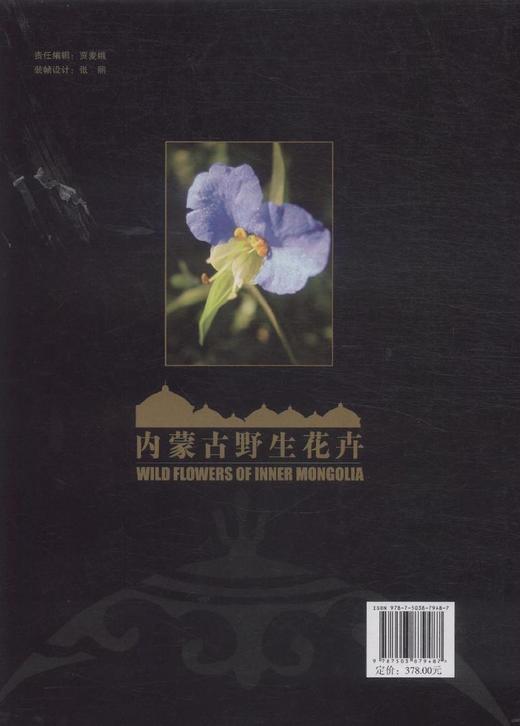 内蒙古野生花卉  中国林业出版社 7948  科技 商品图3