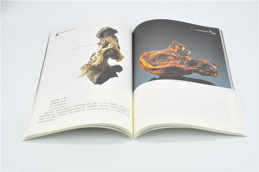 中国传统形象图说 渔翁 9074 徐华铛编 唐诗宋词中的渔翁形象 古代绘画中的渔翁形象 渔翁头部造型集锦 作品赏析 中国林业出版社 商品图3