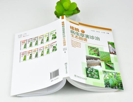 核桃病虫草害诊治生态图谱 0224 冯玉增 任军战 王文星 核桃病害虫害诊断与防治 果园主要杂草识别与防治 工具书 中国林业出版社 商品图4
