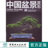 中国盆景赏石 2012-11  中国林业出版社6809 商品缩略图0