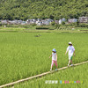 2025年6月新团【袋鼠爸爸去哪儿丨贵州兴义峰叁客栈】住在万峰林，八卦田旁，全年平均14-22℃，年度中国民宿榜前列，景美原生态，布依族/苗族多民族聚居地，酸汤鱼/露台下午茶/温泉等多项体验 商品缩略图11