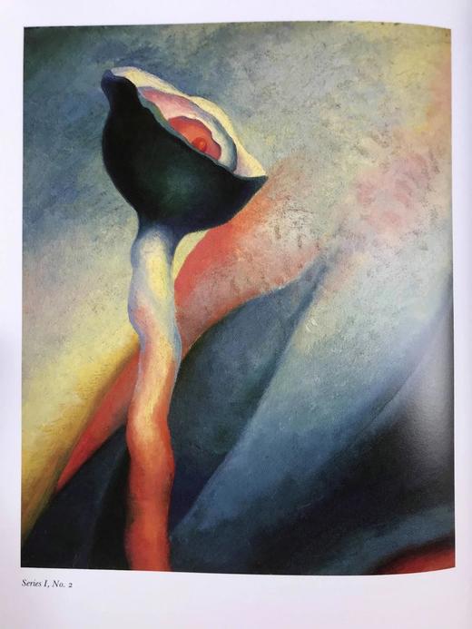 乔治娅·奥·吉弗画集 111幅插图（54幅彩色） 精装大16开 商品图14